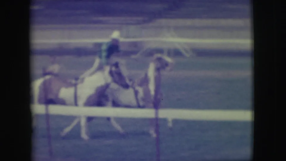 The closing frame shows the Denver horse stunt from a spectator angle, with the rider upright across both horses.