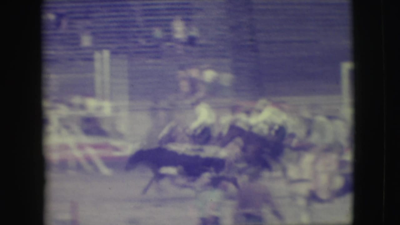 Several horses and riders cluster near an arena rail with spectators behind.
