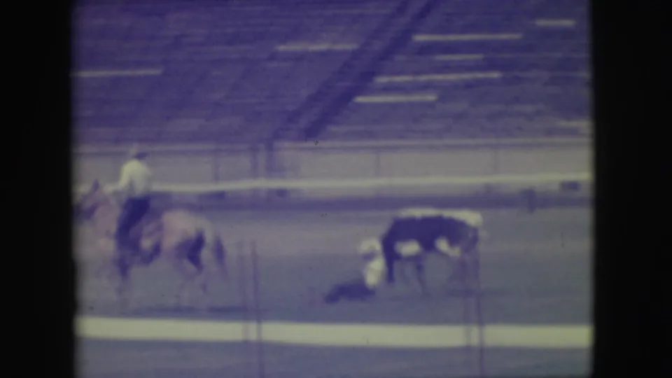 The roping run turns dangerous as the rider appears down on the dirt while the horse continues away in the Denver arena.