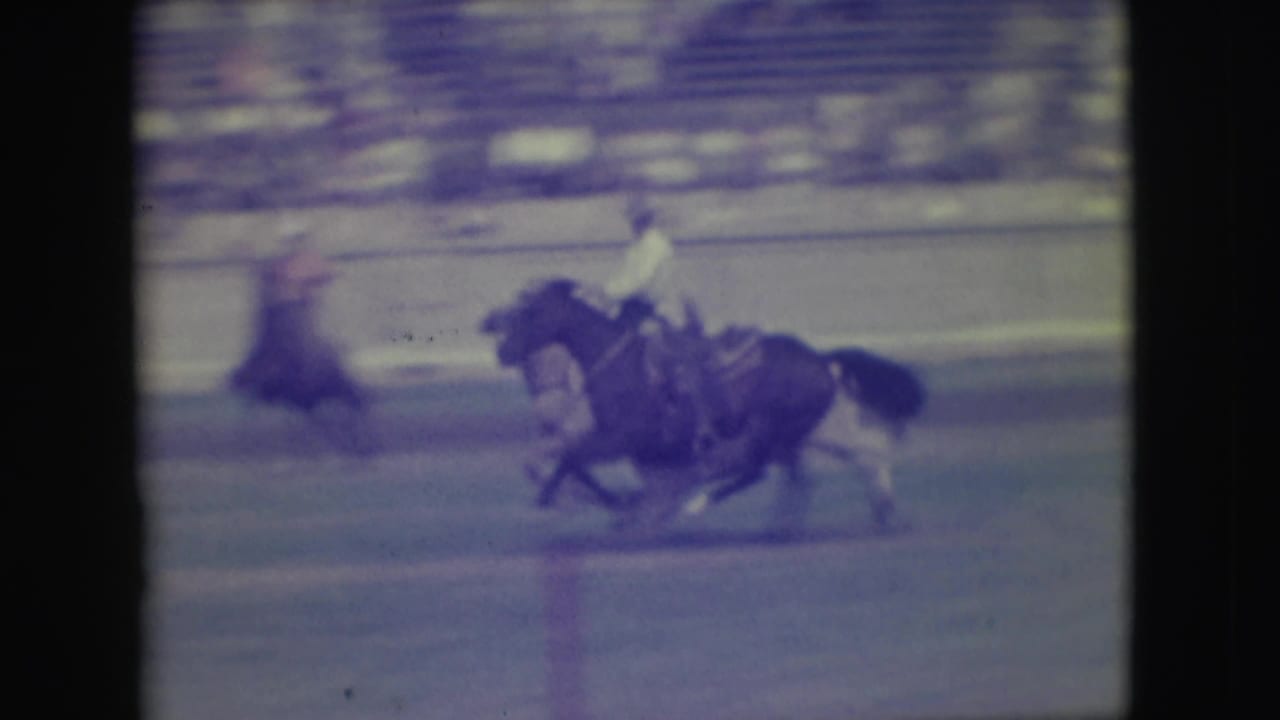 1949 Denver rodeo footage shows a mounted cowboy pursuing a steer across the arena while spectators sit behind the rail.