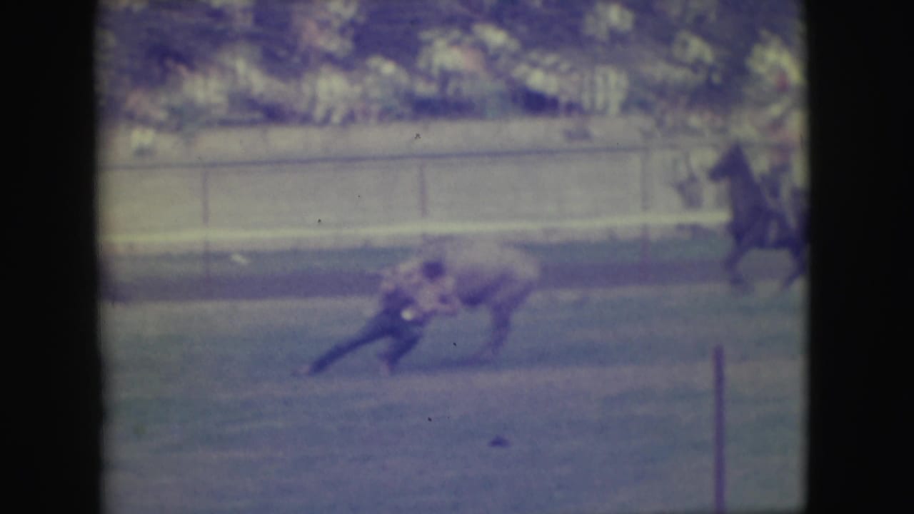 Steer running across the arena with a rider visible near the rail.