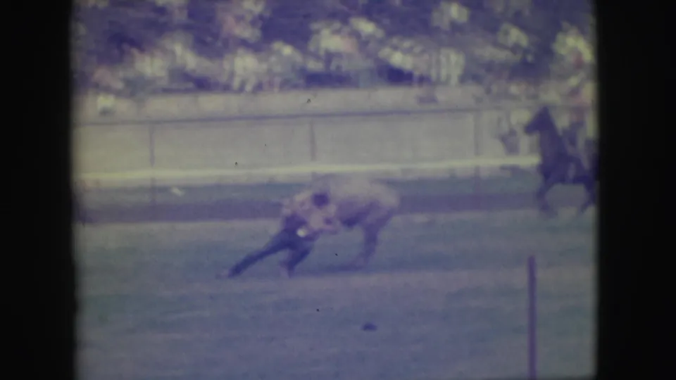 The steer runs through the Denver rodeo arena as a horse and rider appear farther back near the perimeter rail.