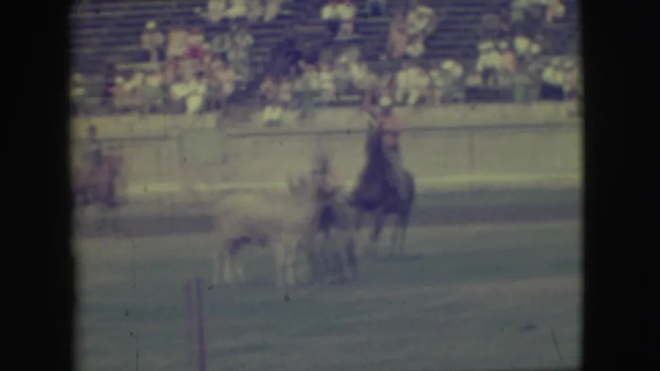 A cowboy appears to move in close to the steer during the rodeo action, with the crowd watching from the bleachers in 1949 Denver.