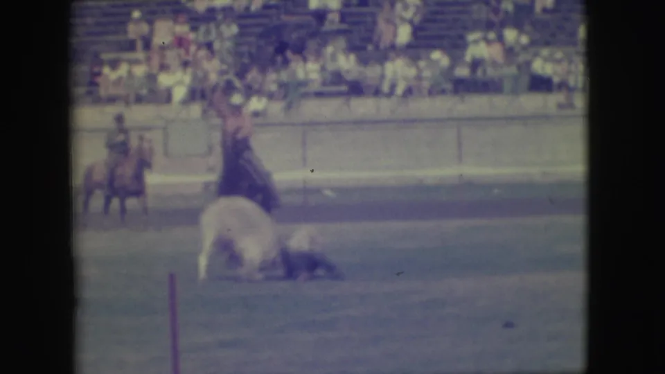 The steer is down on the arena floor after the wrestling action, with a cowboy standing nearby and another rider visible behind him.