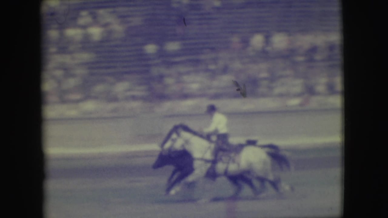 Mounted rider trails a dark bull across the arena with bleachers in the background.
