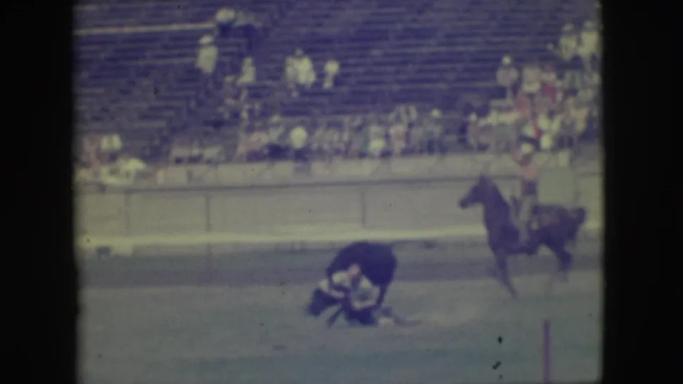1949 Denver rodeo scene with a cowboy wrestling a dark bull on the dirt while a rider on horseback watches near the bleachers.