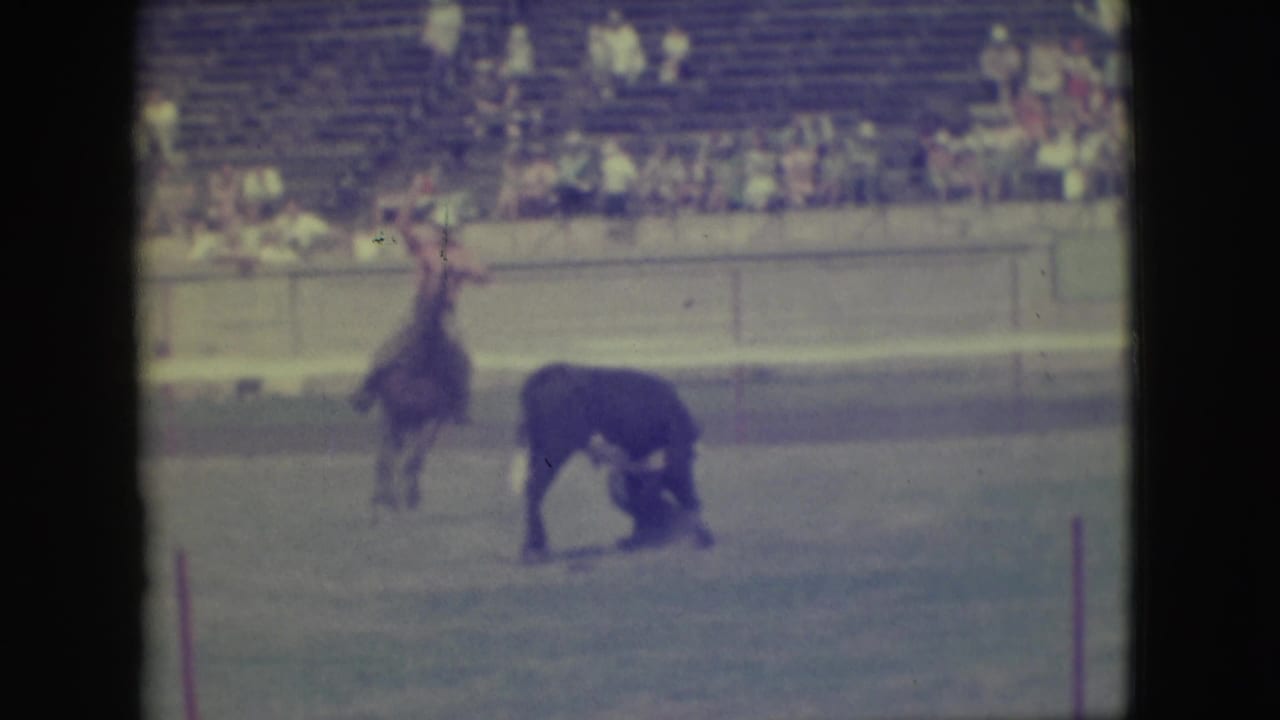 A mounted rider faces a dark bull in the arena with spectators seated in the bleachers behind them.