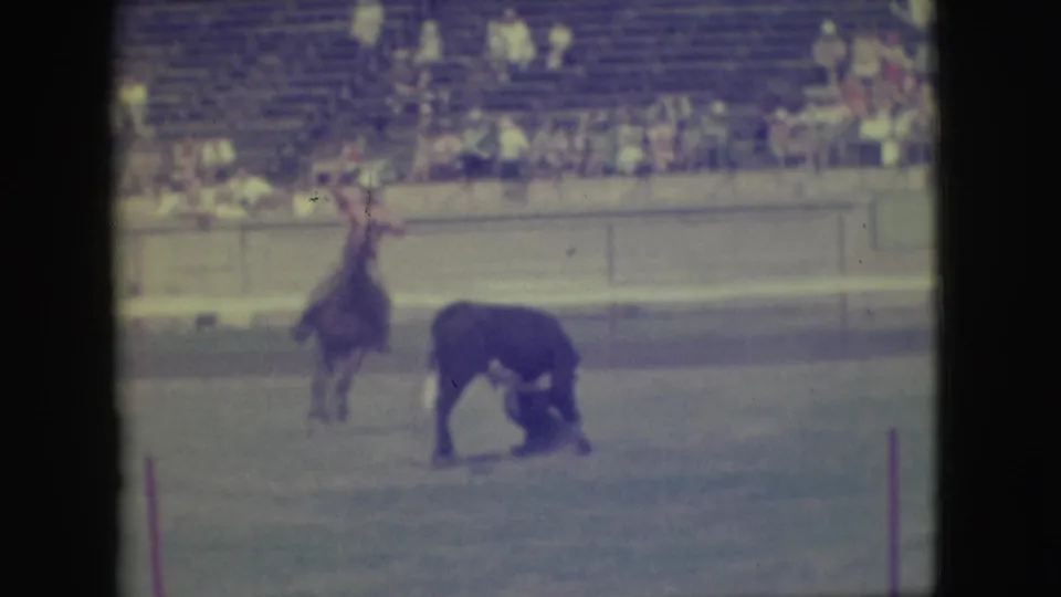 A rider on horseback remains near a dark bull in a Denver rodeo arena, with the bleacher crowd visible in soft 8mm color.