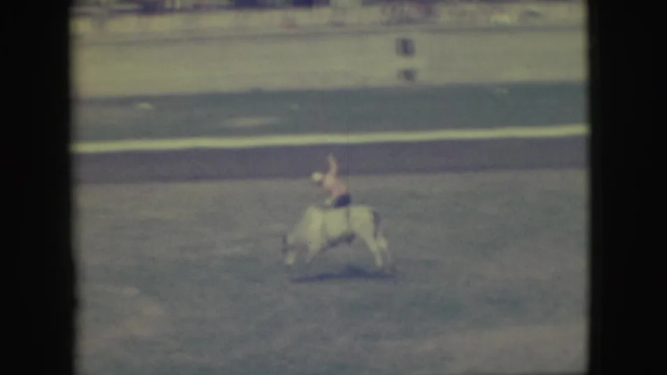 The bull continues bucking in the outdoor Denver rodeo arena as the rider struggles to keep balance.