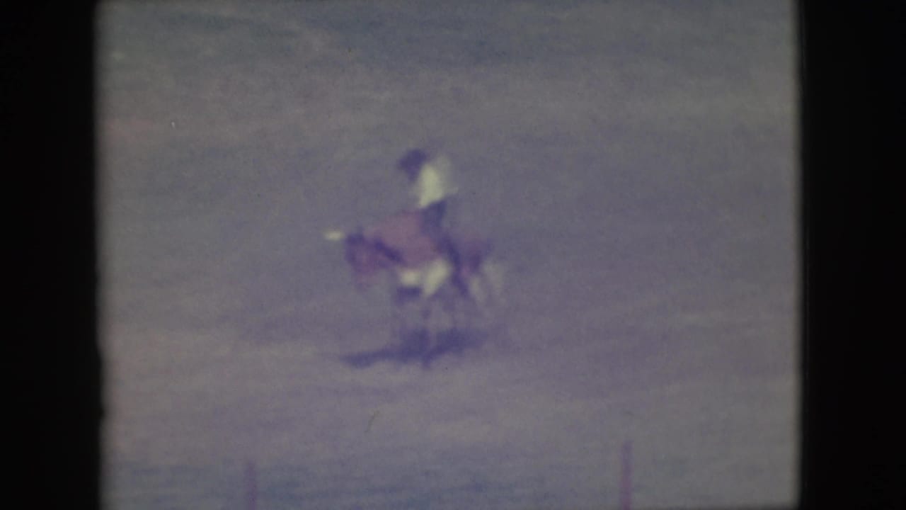 Rider still mounted on the cow as it moves across the open arena.