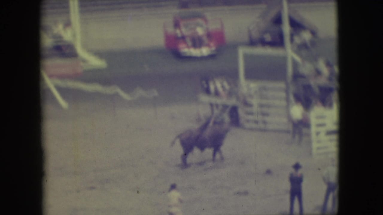 1949 Denver rodeo home-movie frame showing a brown bull in a dusty arena, people nearby, fencing, spectators, and a red car.