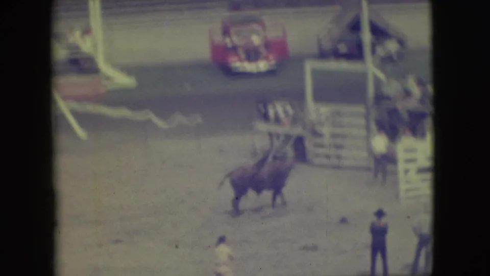 1949 Denver rodeo home-movie frame showing a brown bull in a dusty arena, people nearby, fencing, spectators, and a red car.