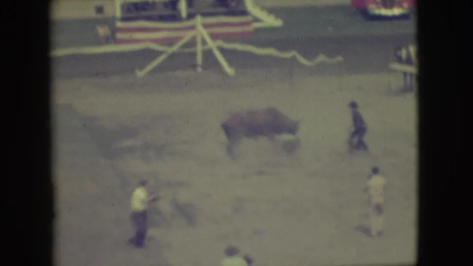 1949 Denver rodeo home-movie frame showing the bull near several arena workers or riders, with fencing and decorated stands behind.