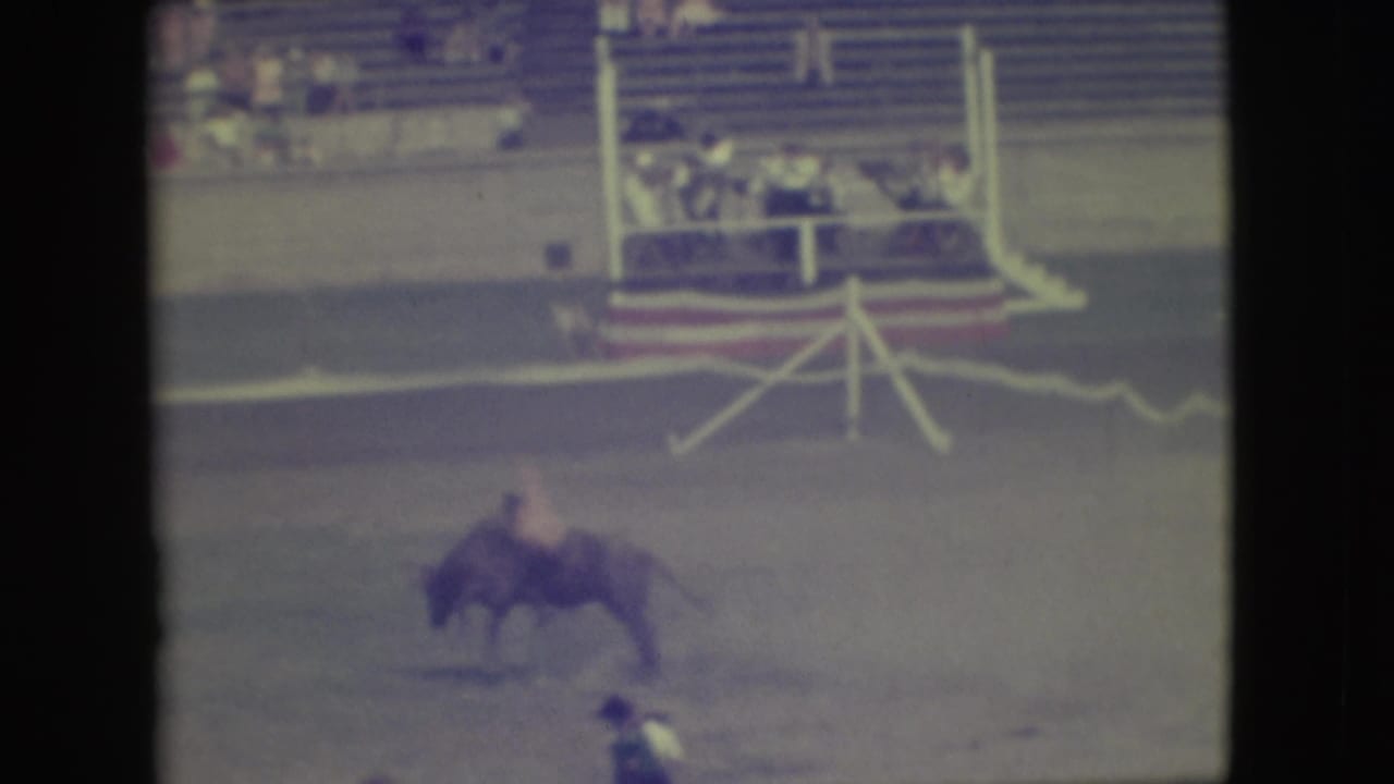 Rider remains on the bull as it moves across the arena with bleachers behind.