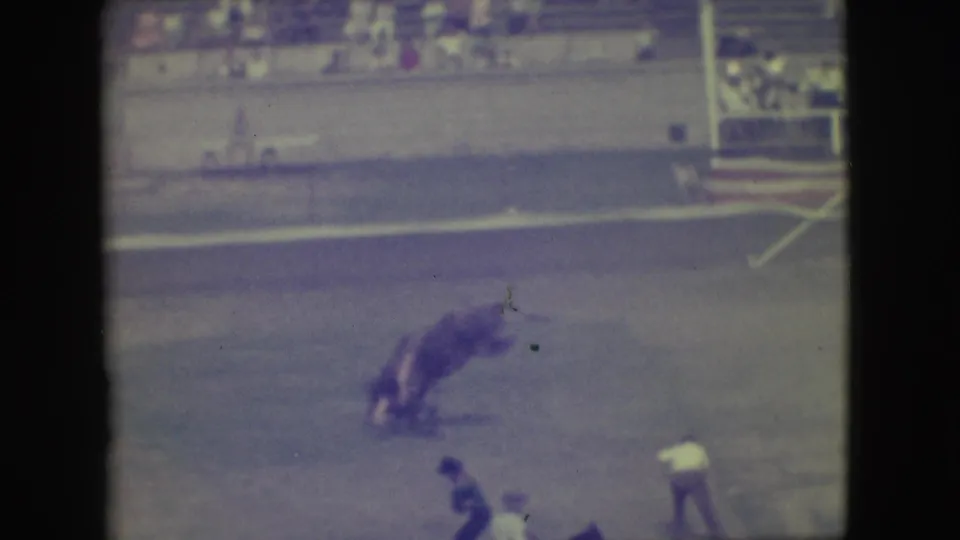 The rider is thrown low beside the bucking bull in the 1949 Denver arena while several figures stand at a cautious distance.