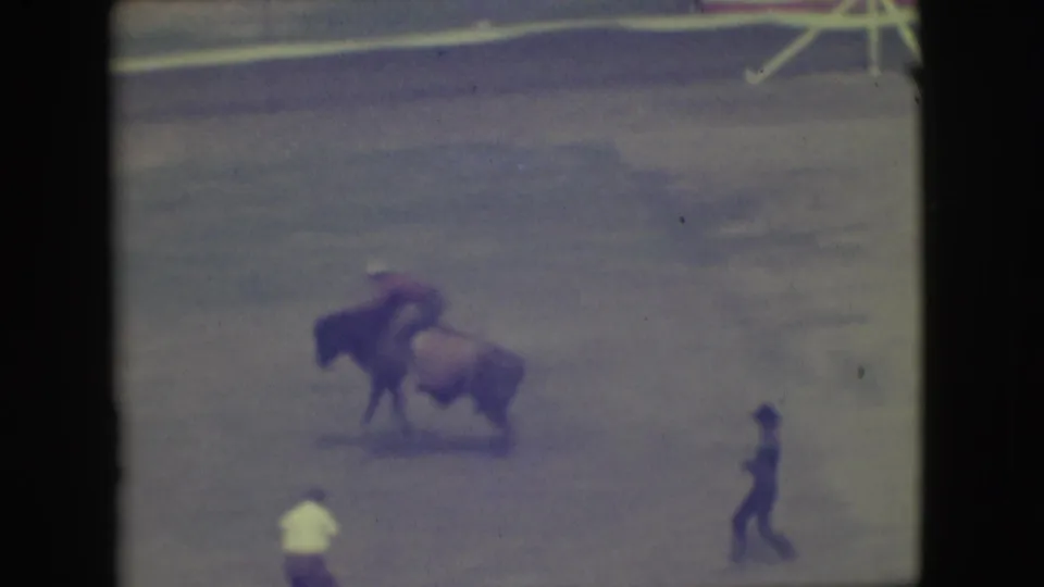 1949 Denver rodeo frame showing the bull turning low in the arena, with a nearby assistant and distant rail fencing.