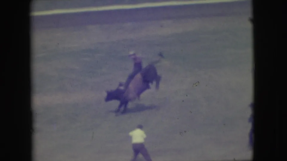 1949 Denver rodeo frame of a bull bucking with the rider aboard and a white-shirted arena helper positioned nearby.