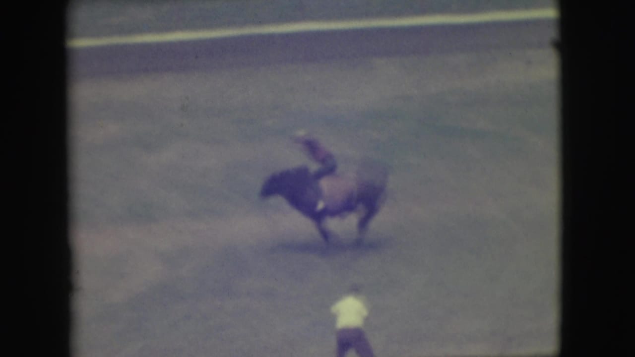 1949 Denver 8mm frame showing a bull bucking as a rider leans forward in an open arena.