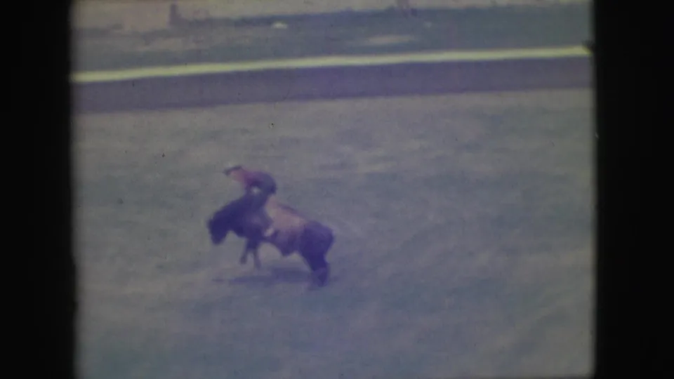 1949 Denver rodeo frame showing the bull twisting low while the rider stays mounted in soft, grainy 8mm color.