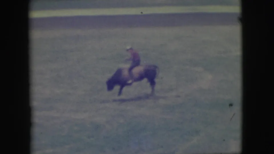 In 1949 Denver rodeo footage, a rider in a red shirt sits on a bull across the arena floor.