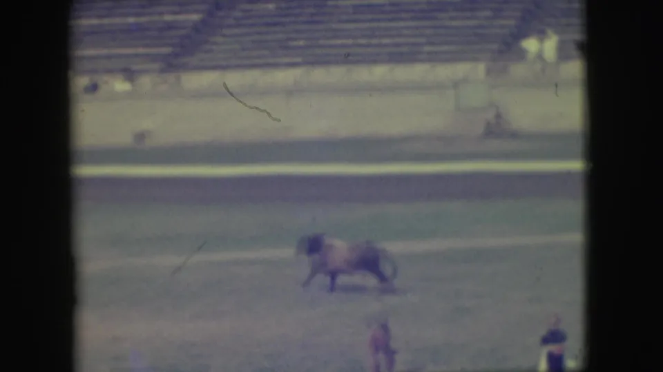The bull moves across the rodeo arena while distant people stand near the lower edge of the frame.