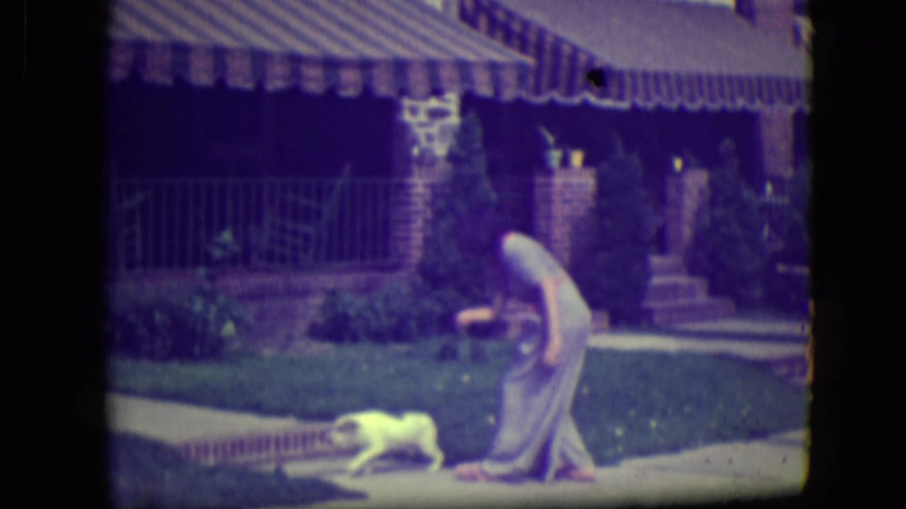 Woman in a light dress bends toward a small white dog on a front lawn.