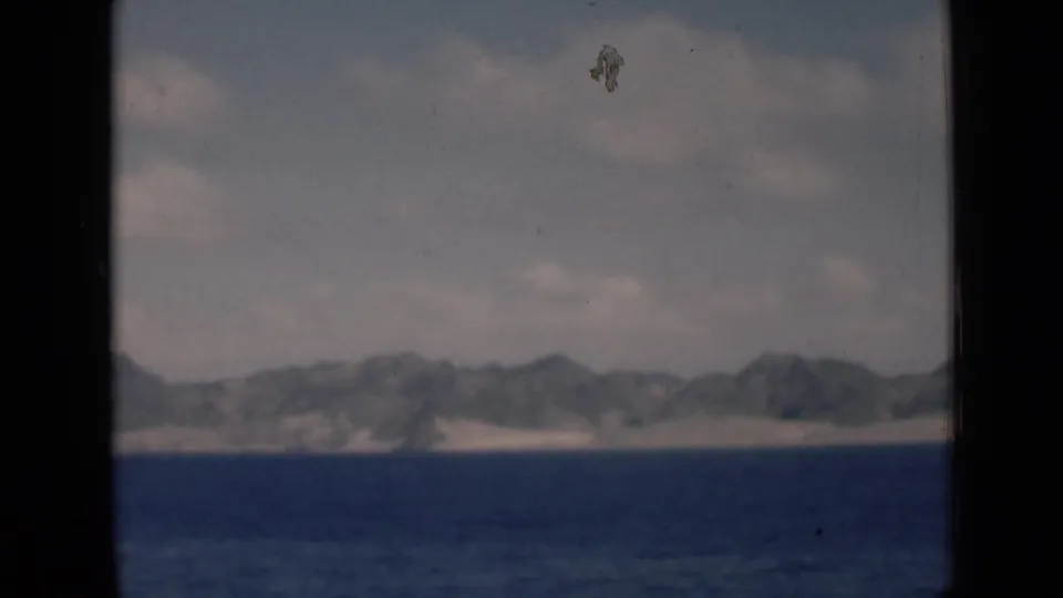 Soft 8mm frame of a distant sandy shoreline and arid hills, consistent with the Aden/Yemen-labeled clip metadata.