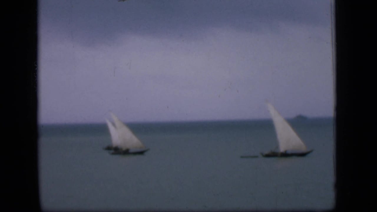 Two small sailboats with white triangular sails on calm water under a hazy sky.