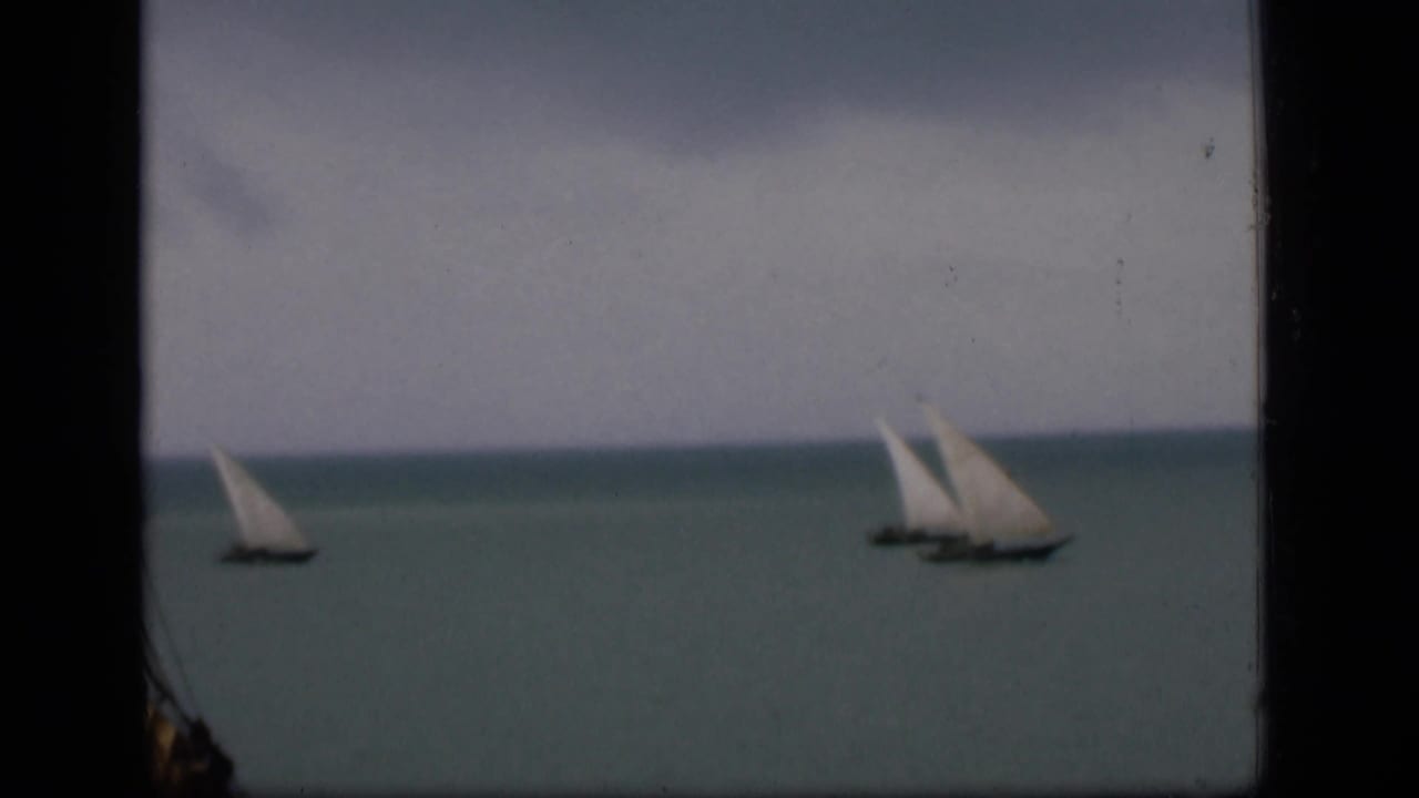 Small white-sailed boats on the horizon over muted blue-green water.