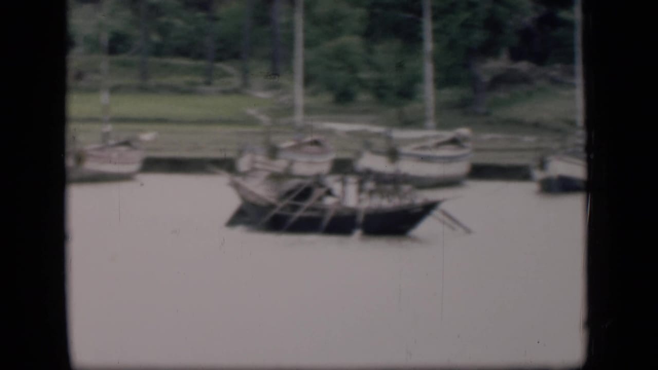 Small boats with oars on calm water beside a tree-lined bank.