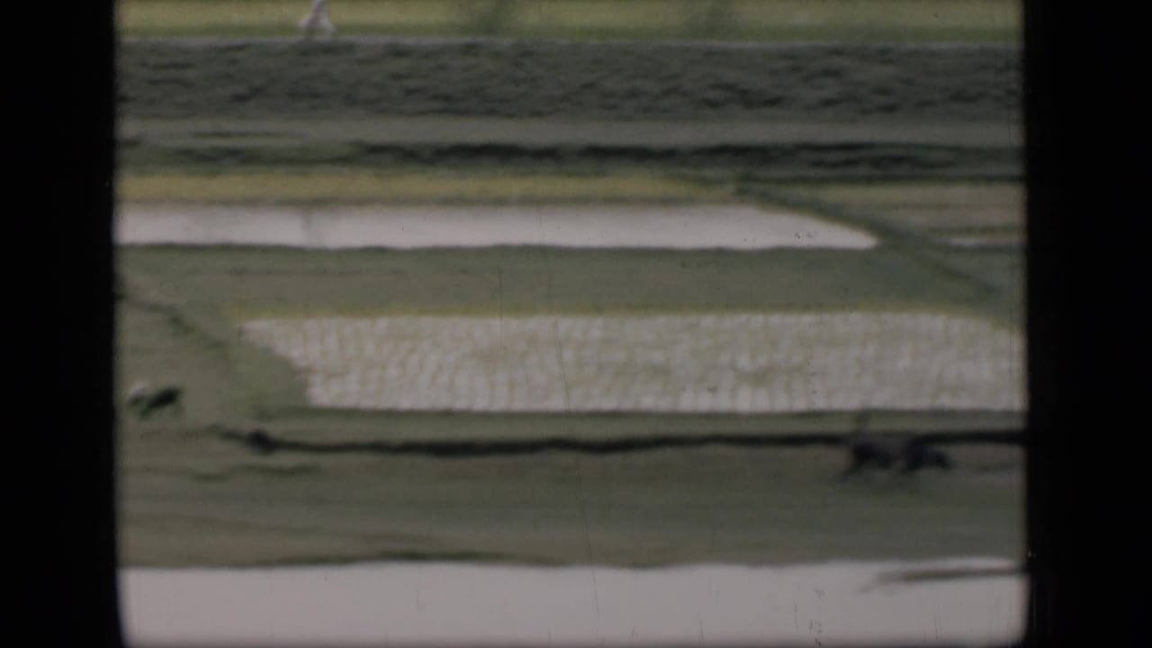 Water-filled fields and grassy paths seen through a vertical window divider, with animals in the distance.
