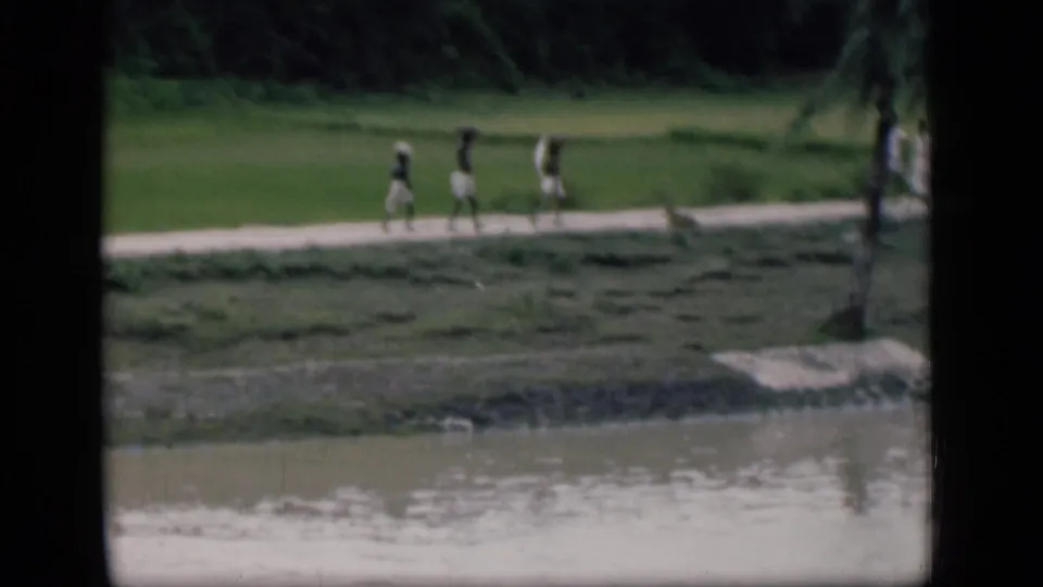 A distant view shows people walking beside the river in Bombay, with a small dog near the path and dense greenery beyond.