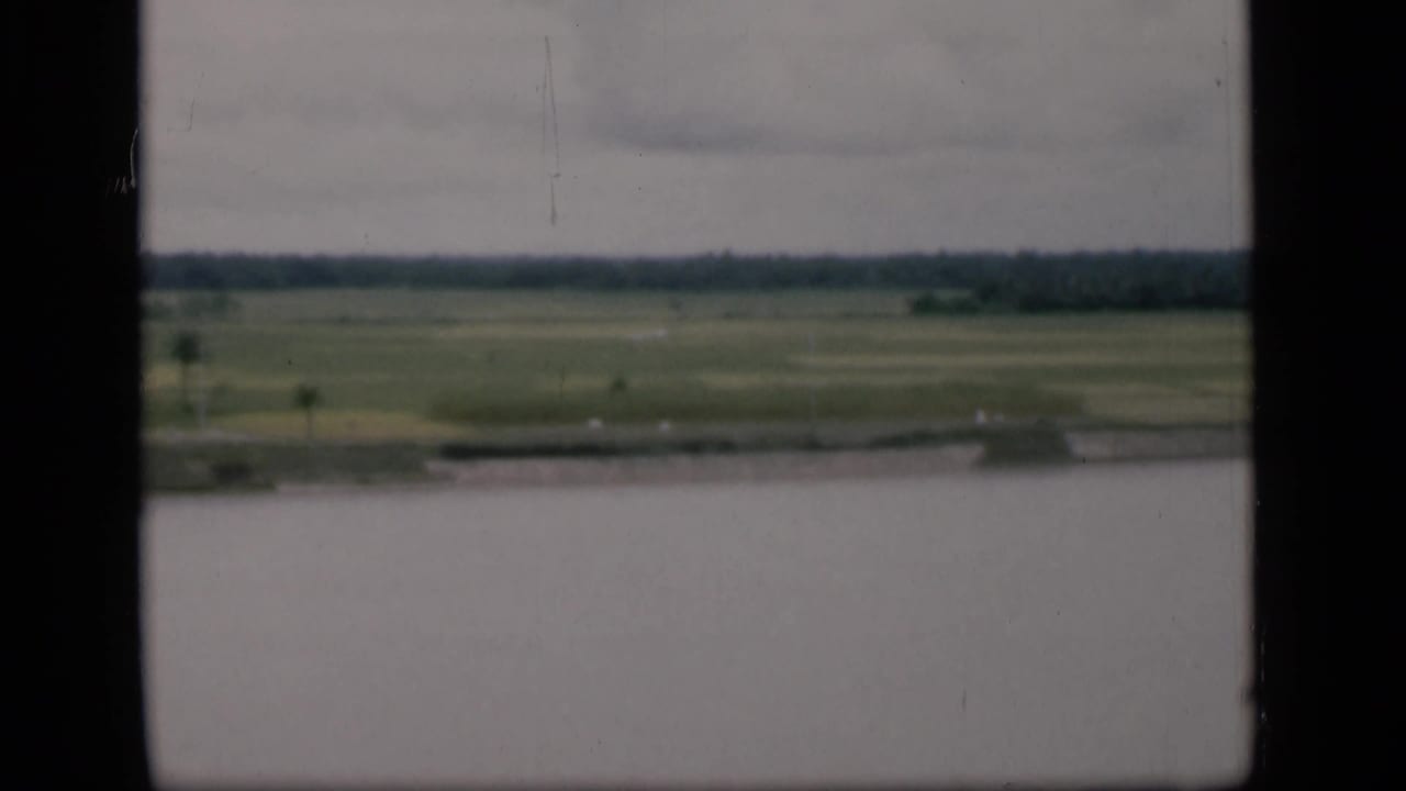 Soft view across water toward green fields and a distant tree line under a gray sky.