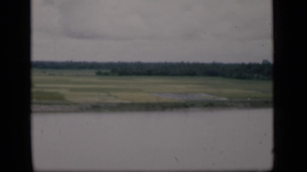 Wide waterside landscape with pale water, flat fields, and trees in the distance.