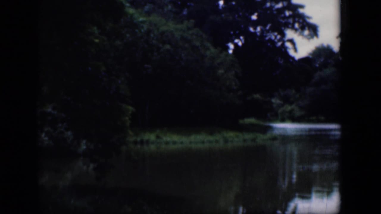 Dark trees and a calm body of water with grassy shoreline.