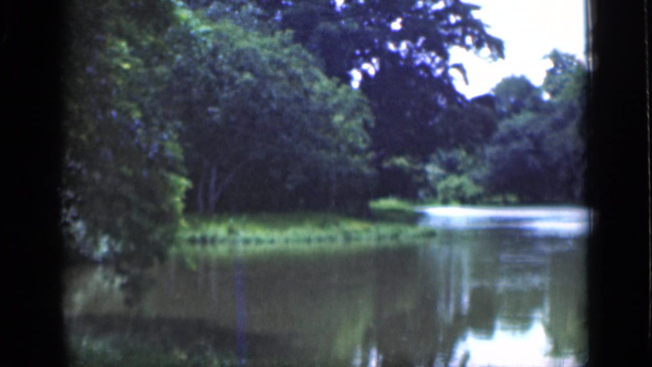 1946 Bombay 8mm frame of a green bank beside calm water, with trees and pale sky in the background.