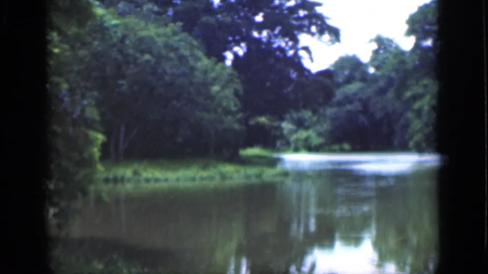 1946 Bombay 8mm frame showing a wider waterside view with trees, grass, water, and soft film blur.