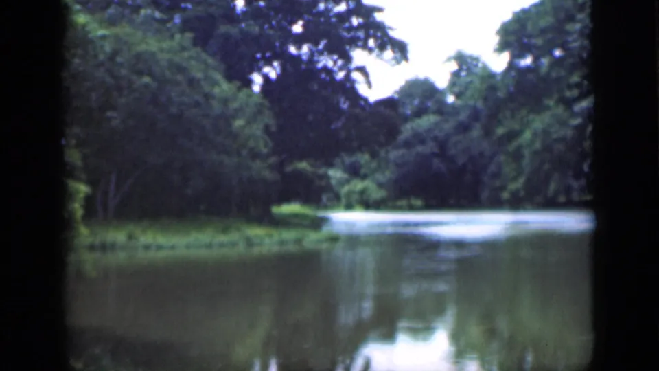 1946 Bombay 8mm frame of a quiet tree-lined waterway with grassy shore and visible home-movie scan edges.