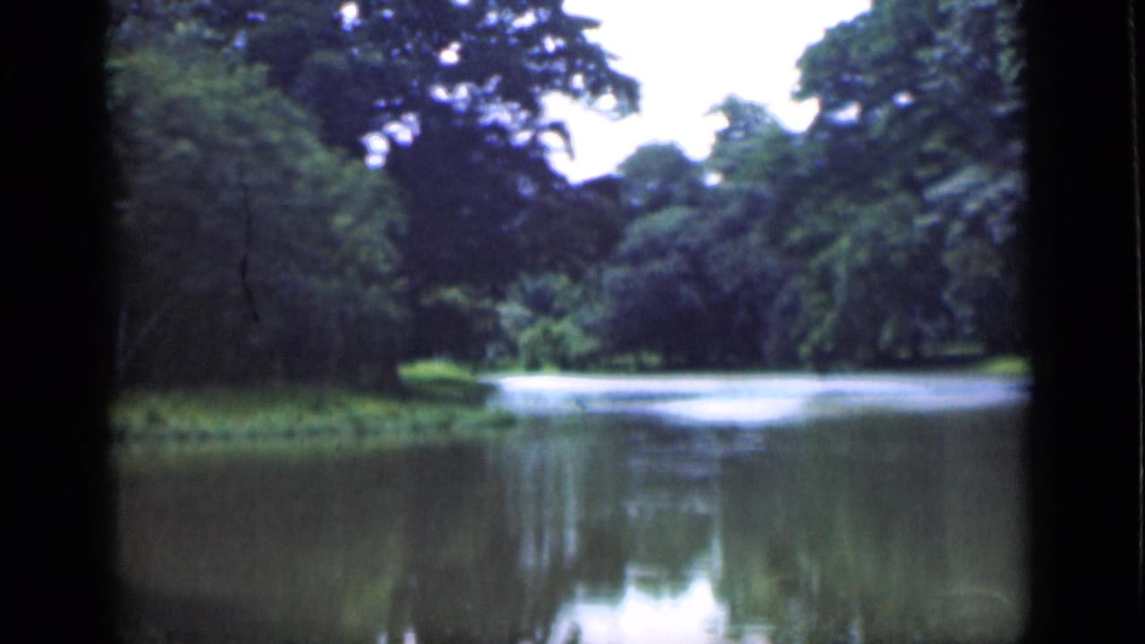 1946 Bombay 8mm frame showing a calm pond surrounded by dense green foliage and reflected trees under a pale sky.