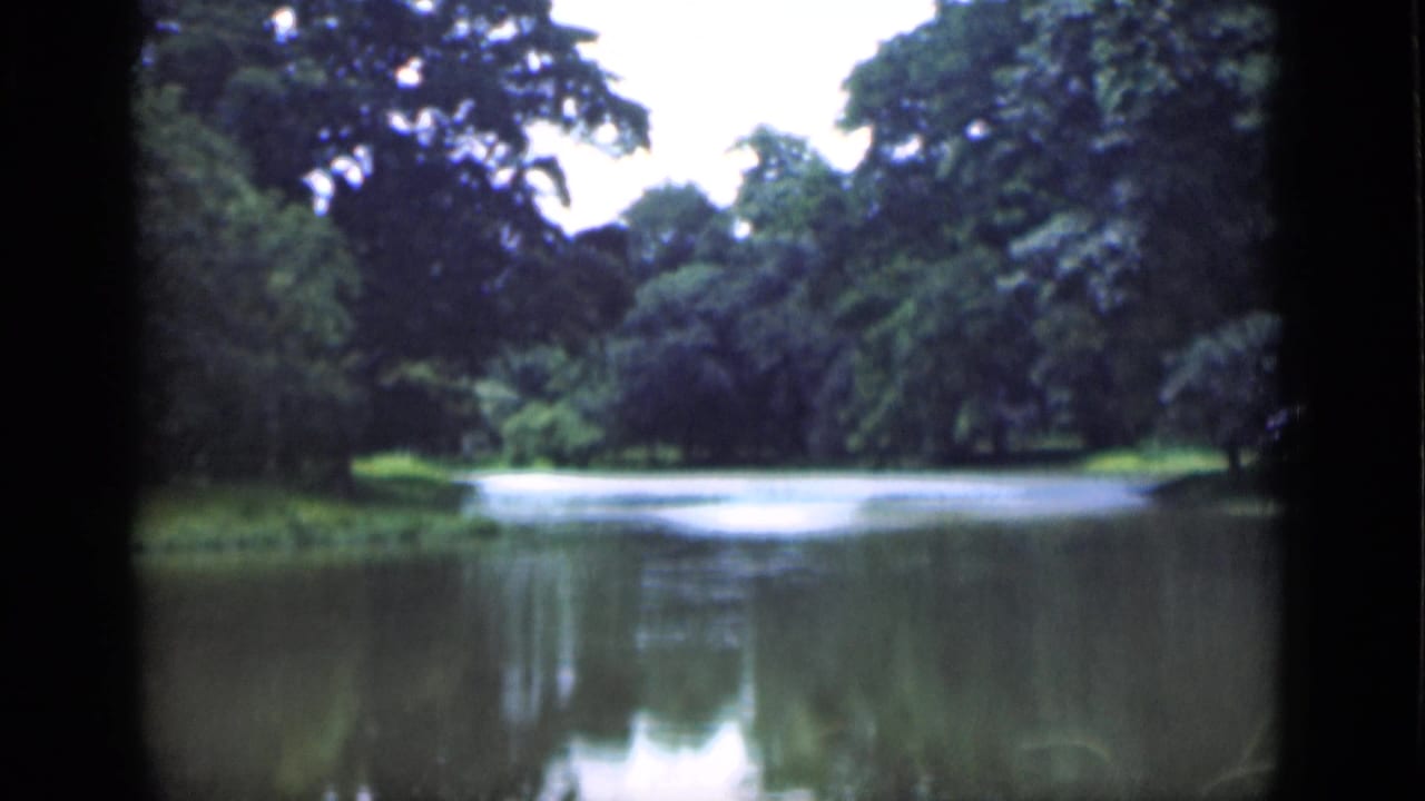 1946 Bombay home-movie frame of a quiet pond bordered by tropical trees, with soft focus and visible 8mm frame edges.