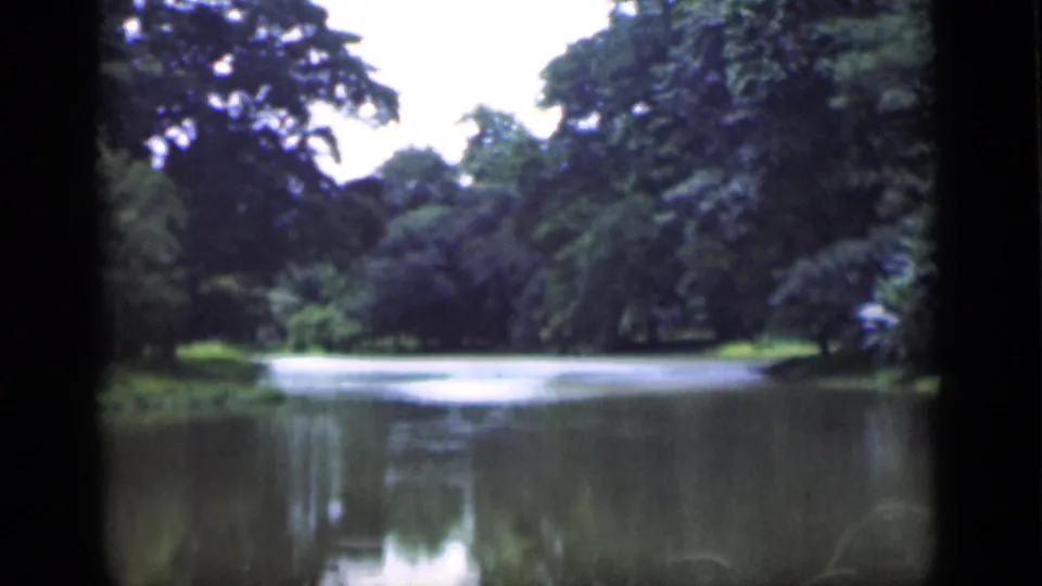 1946 Bombay 8mm view across a still pond toward dense tropical vegetation and a narrow grassy edge.