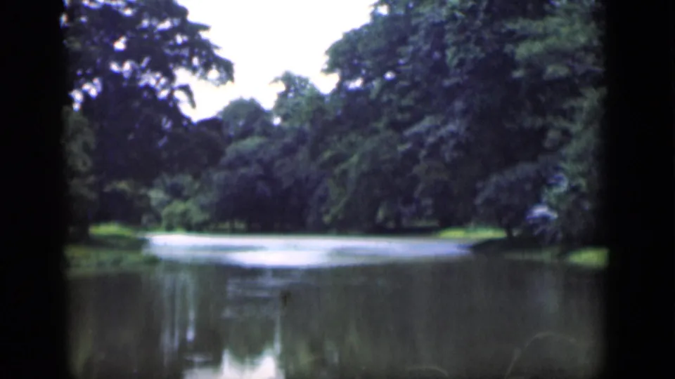 1946 Bombay home-movie frame showing a pond bordered by heavy tropical tree cover, with muted color and soft 8mm texture.