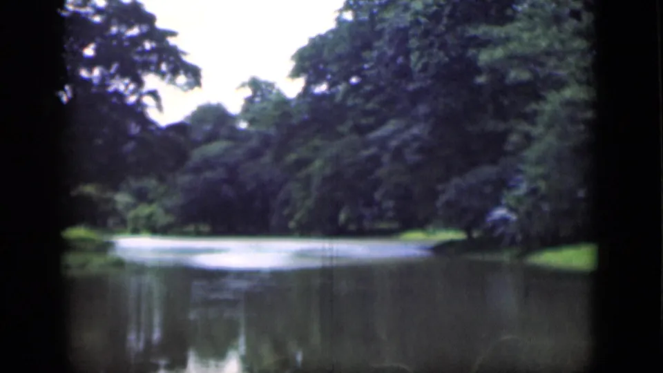 1946 Bombay 8mm frame showing a quiet pond, tree canopy, and grassy shoreline in soft focus.