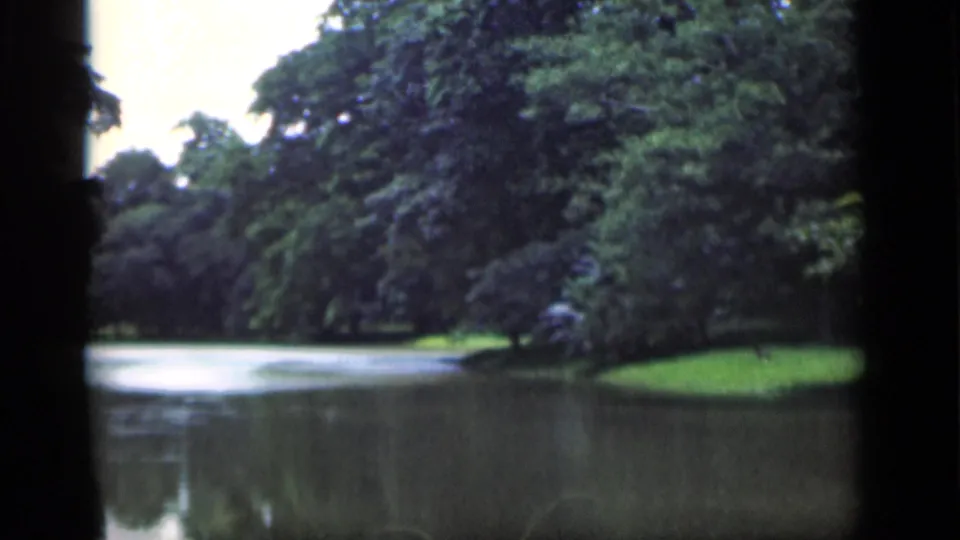 Soft 8mm view of a pond in Bombay, with dense foliage and a curved grassy bank along the far side.