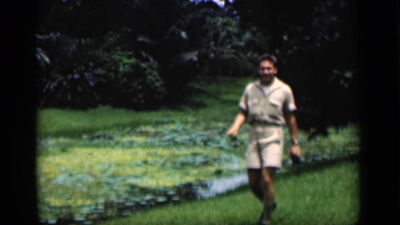Man in light shorts walks beside a lily-pad pond in a tropical garden.