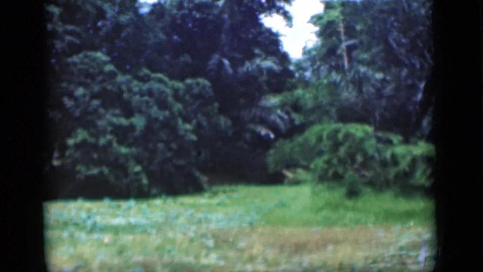 The final frame shows a wide 1946 Bombay park scene with grass, palms, and dense tropical planting in handheld 8mm footage.