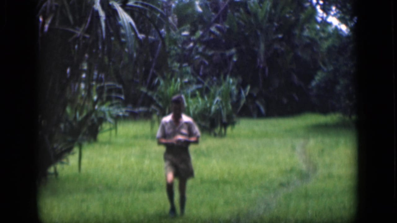 Man in light shirt and shorts walking across a green field bordered by palm-like foliage.