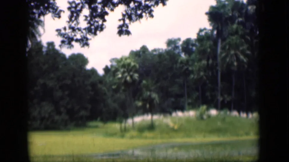 Wide garden view in Bombay, 1946, showing palms, dense trees, grass, and a low wetland or water feature.