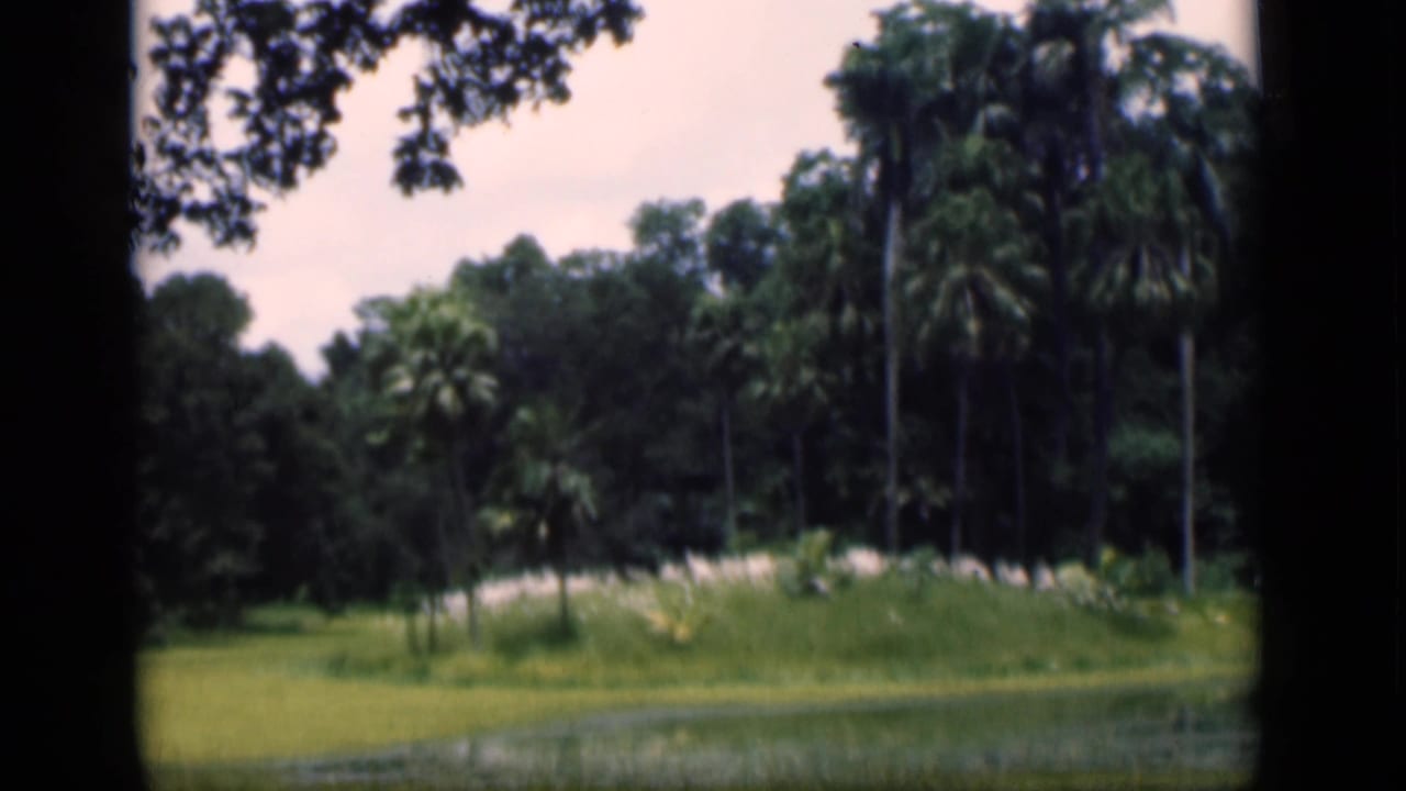 1946 Bombay 8mm frame showing palms, a grassy bank, dense trees, pale sky, and still foreground water.