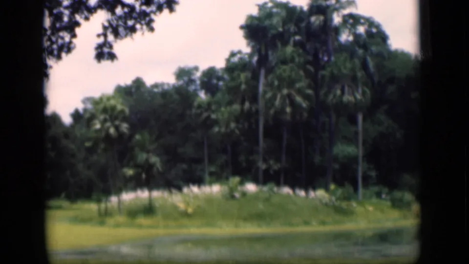 1946 Bombay home-movie frame of a tropical waterside landscape with palms and dense green foliage.